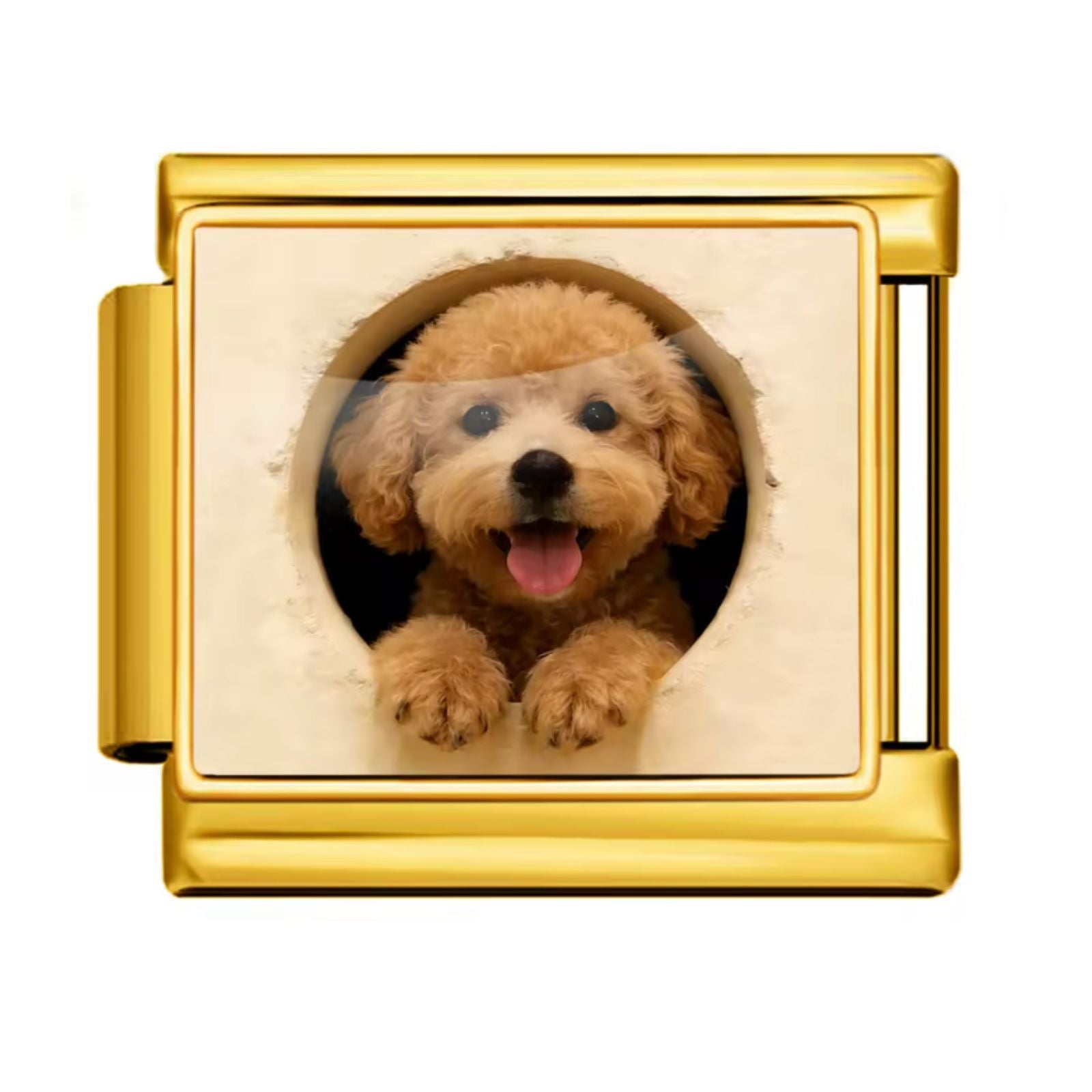 Poodle Dog