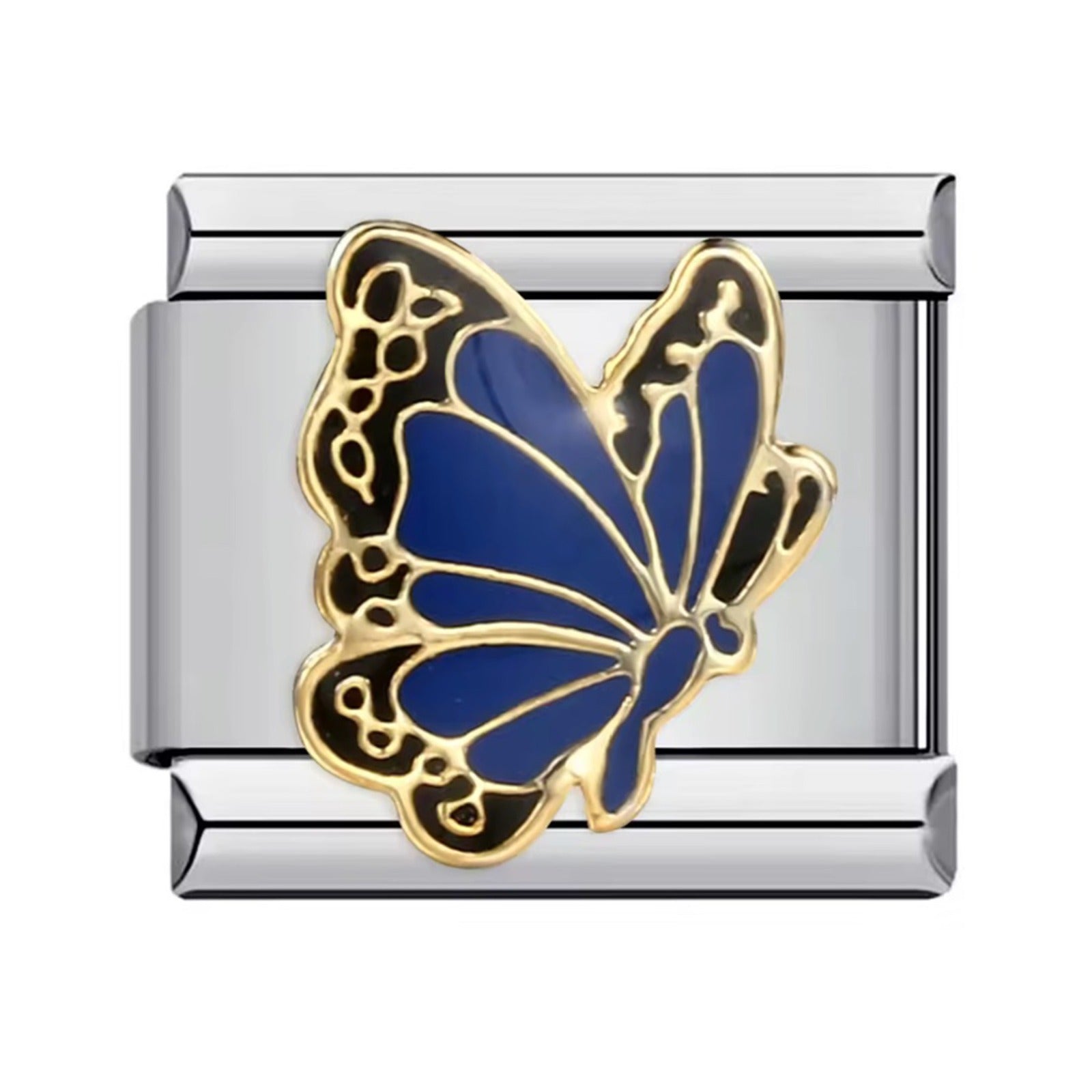 Blue Butterfly