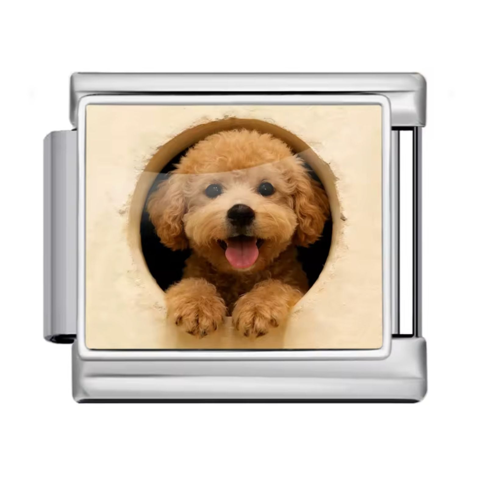 Poodle Dog