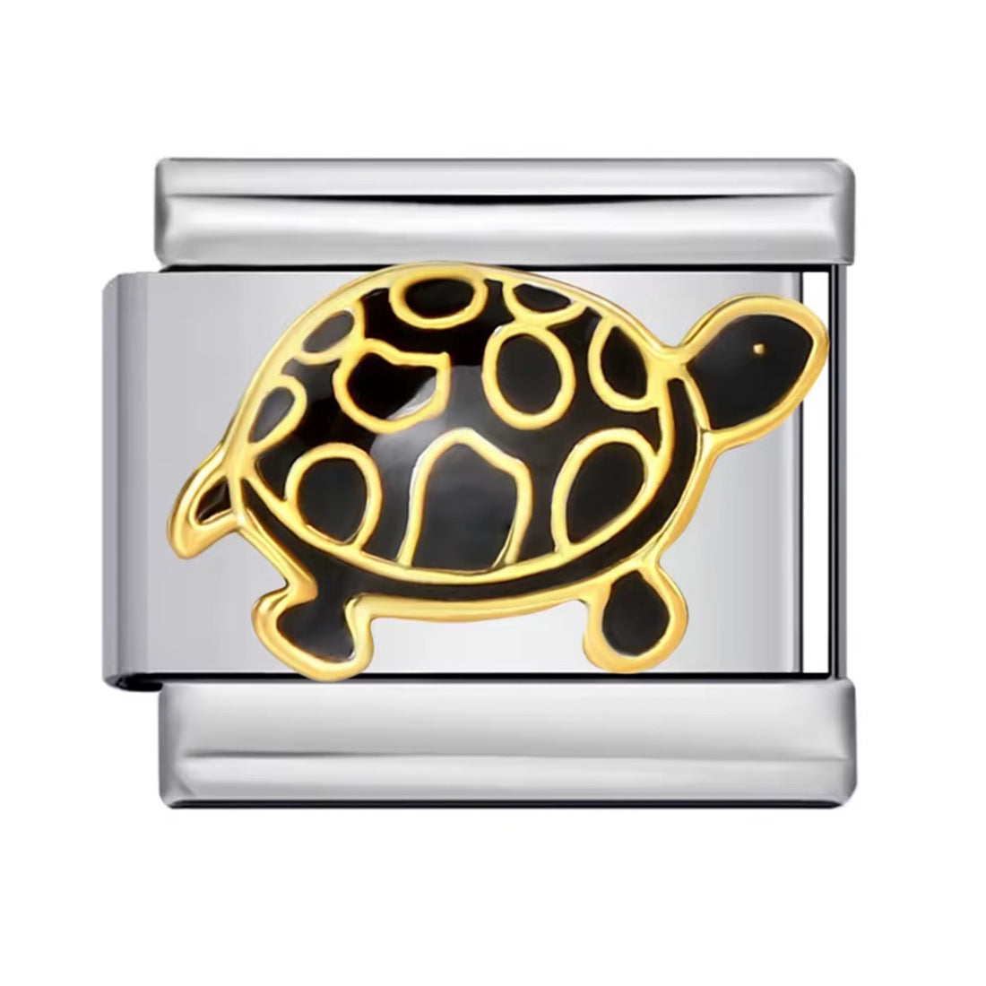 Black Turtle